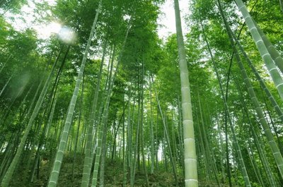 山东优仪测控设备有限公司成立